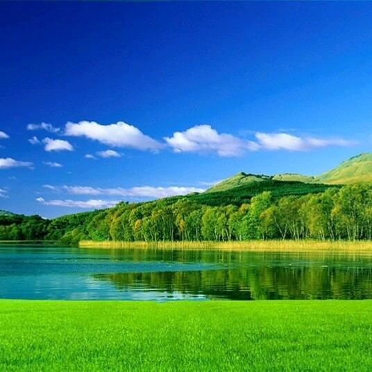 泽尔