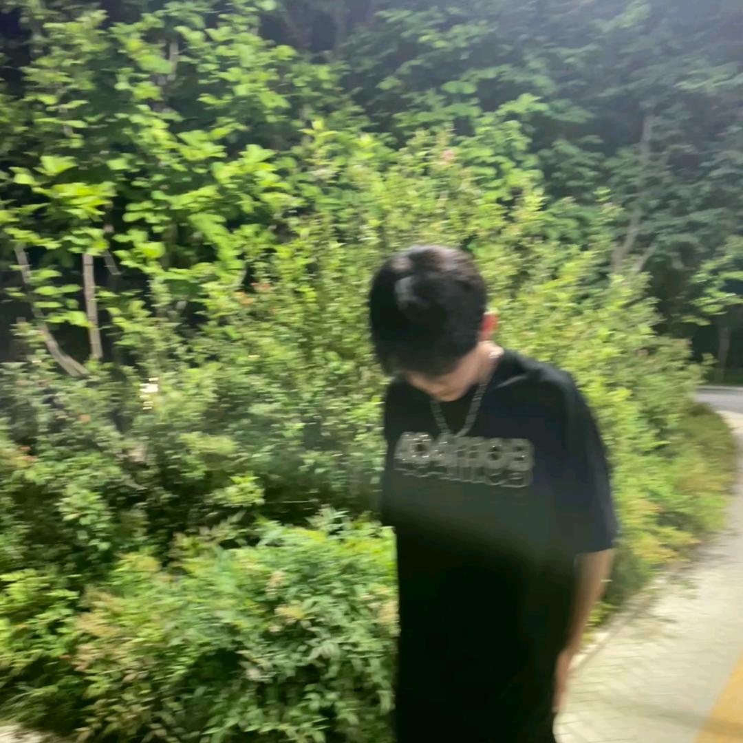 不吃茄子