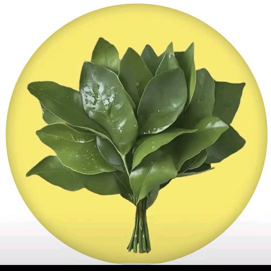 ঞ᭄莫言ོᝰᩚ᭄: ঞ