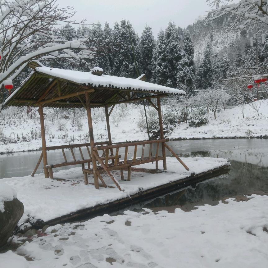 岁月并非如歌。