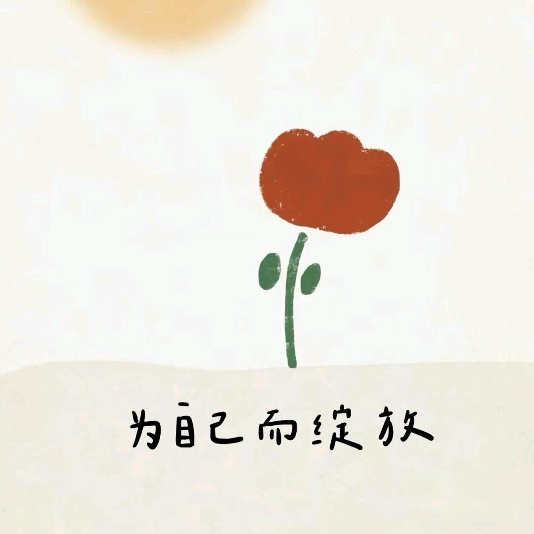 晴晴@