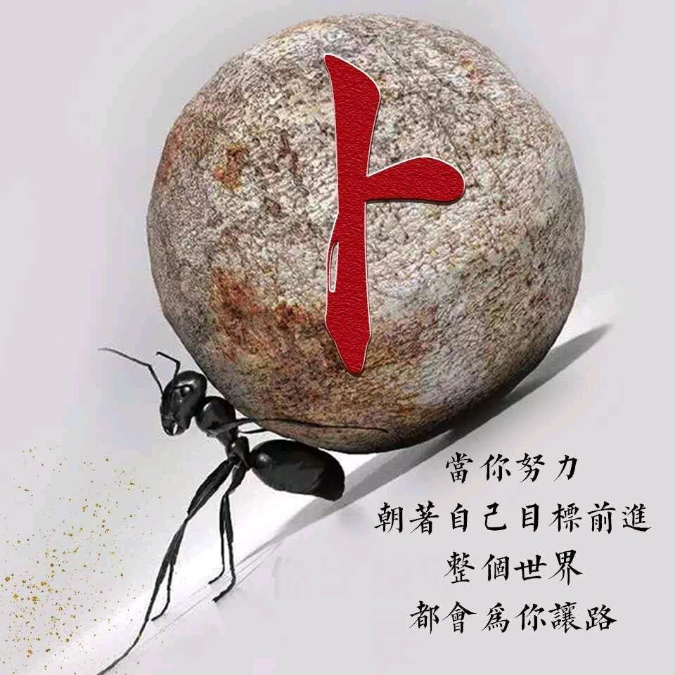 微山湖里打澎澎……念念卜忘