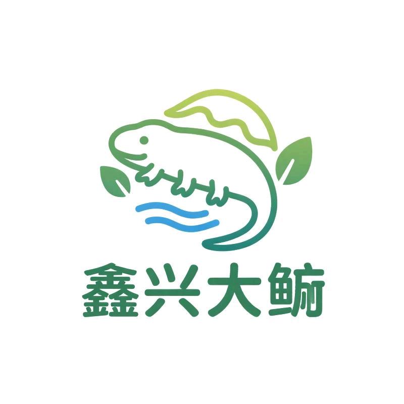 鑫兴大鲵