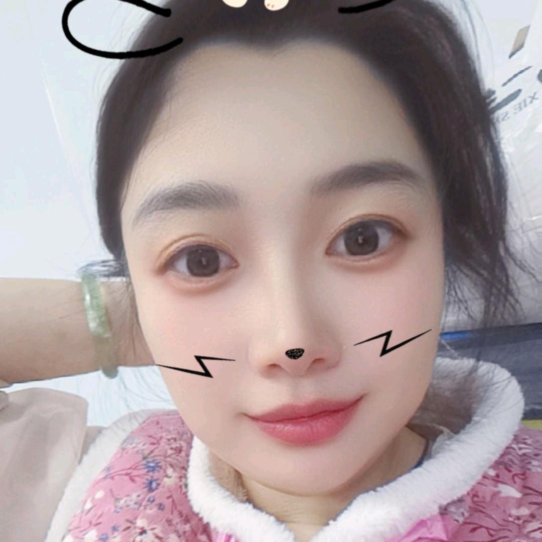 我和我的猫猫狗狗