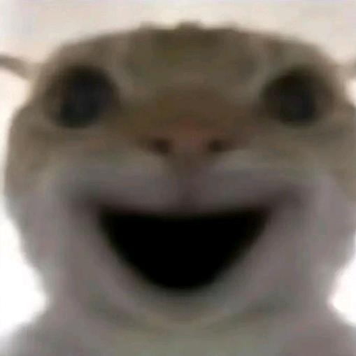 五星上将迈克阿云