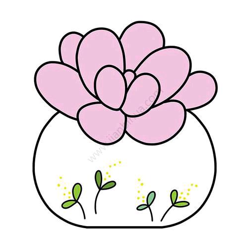 桃子茶茶