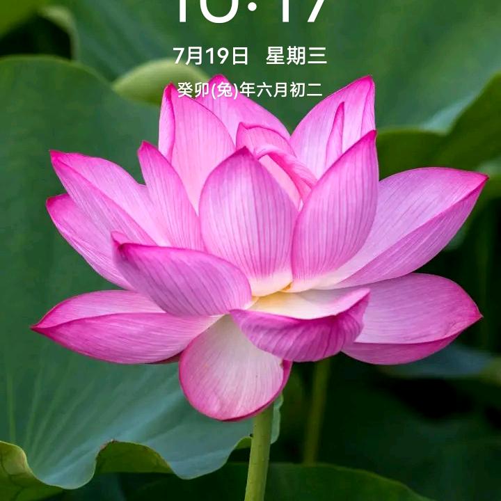 🥀深知🍒是梦🎋