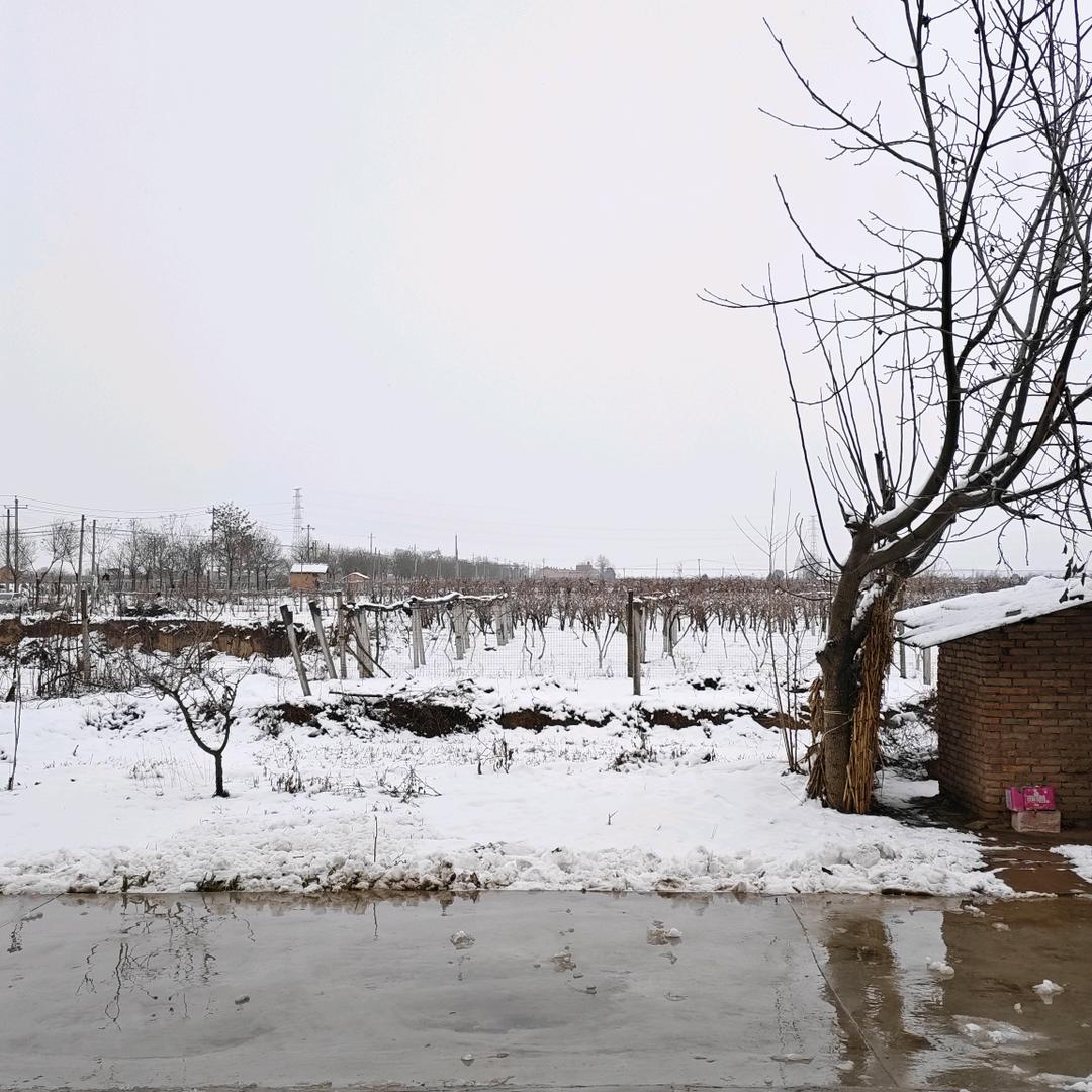 恨与痛（三角洲跑刀）
