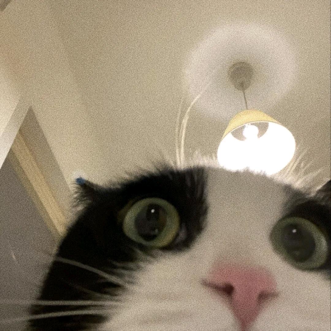 Wuwuwu