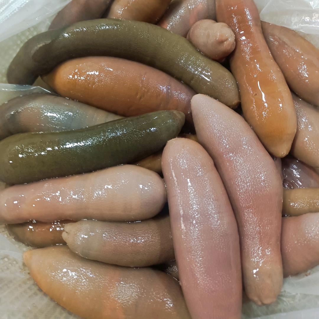 烟台海肠