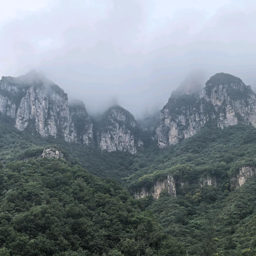 小白龙