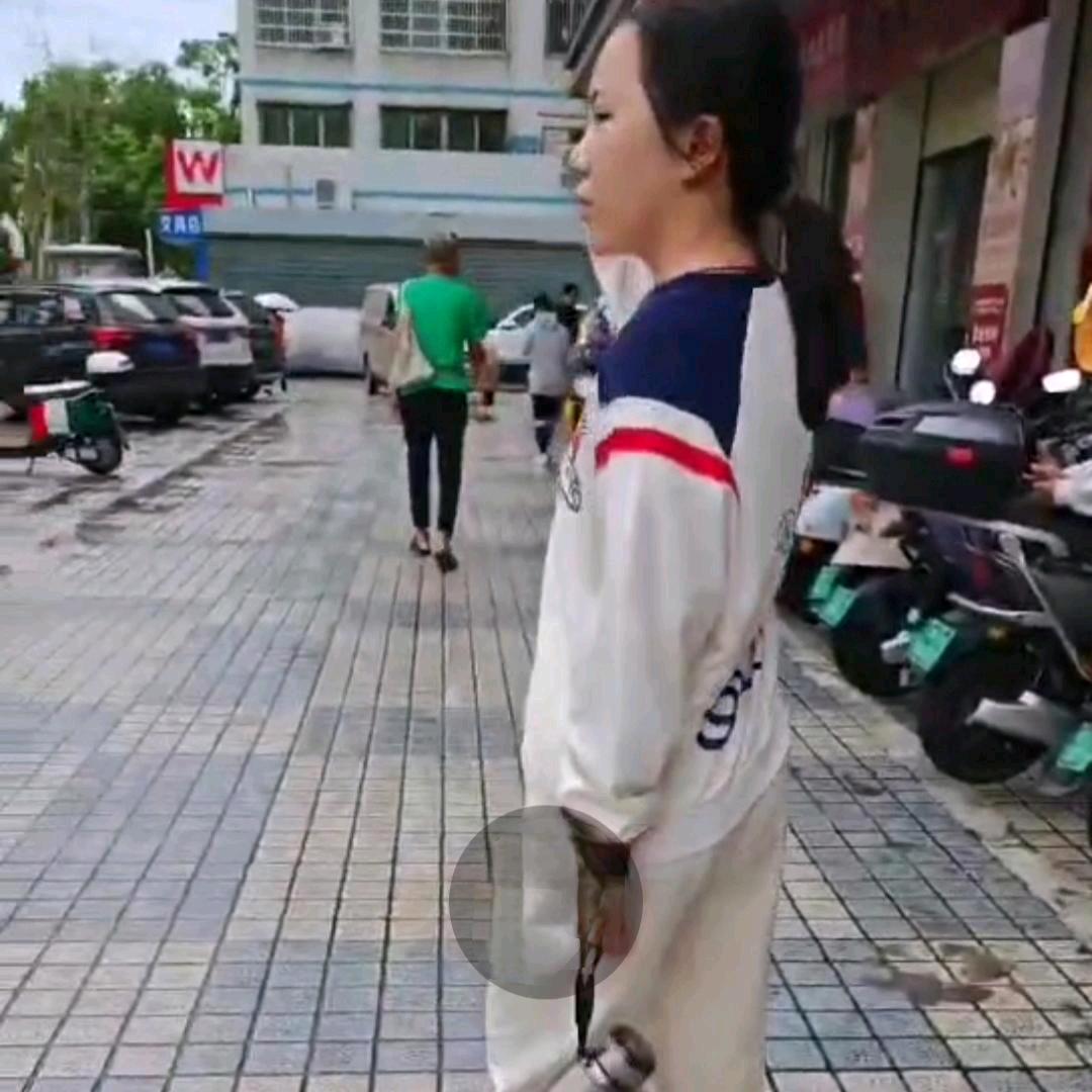 琦清(拒私聊）
