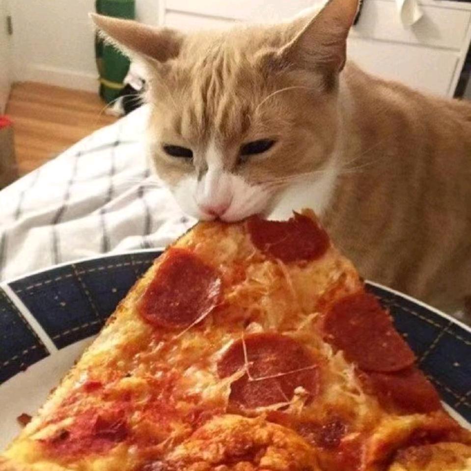 全民K歌—不服来战