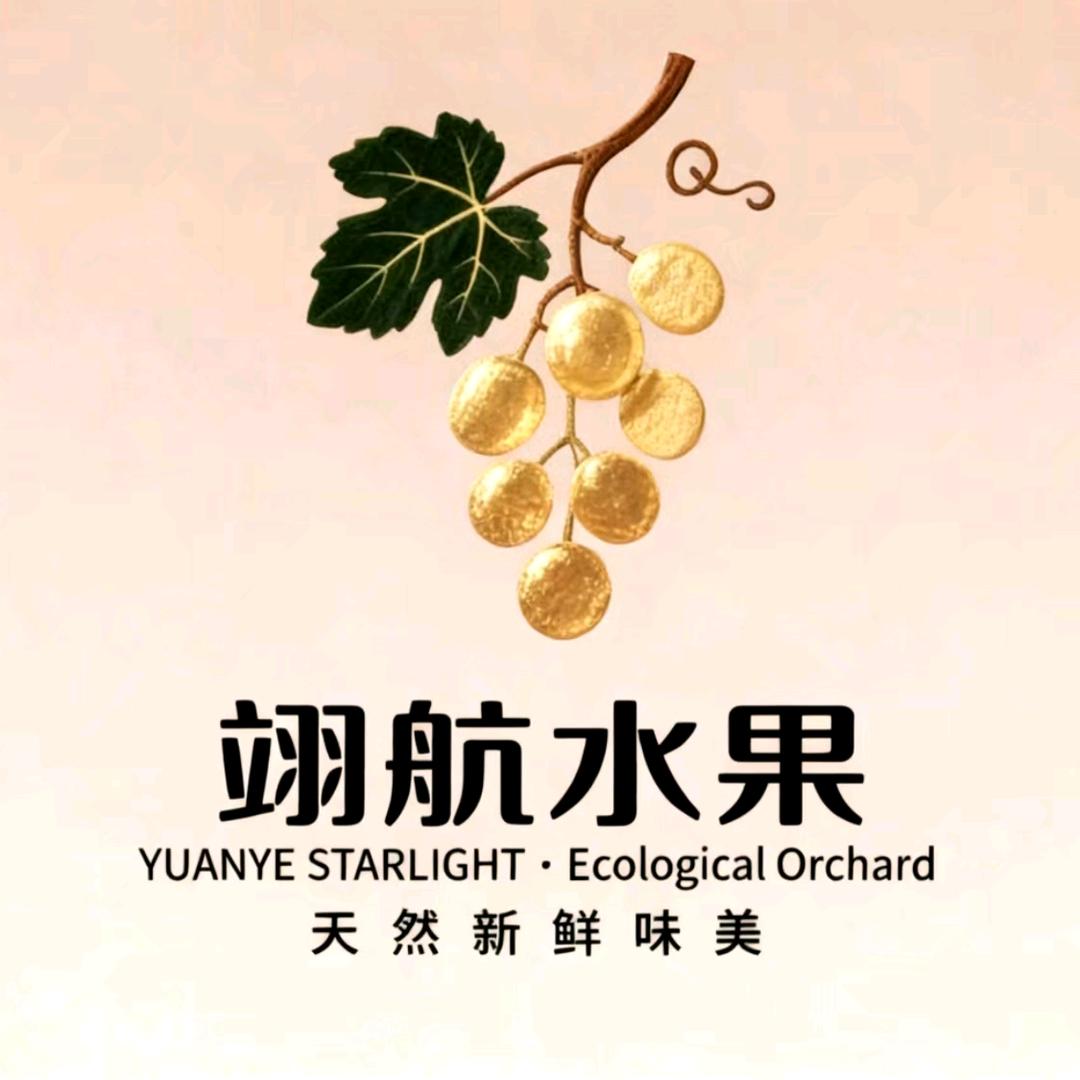 翊航水果