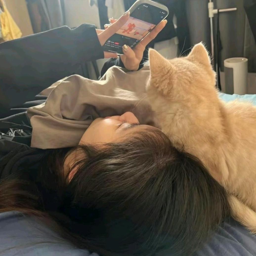哦 关我什么事