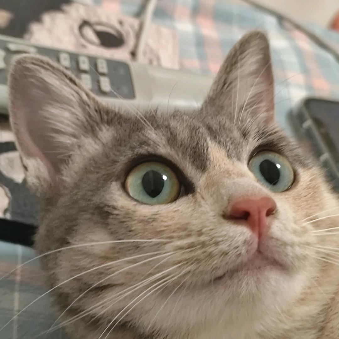 阿殊