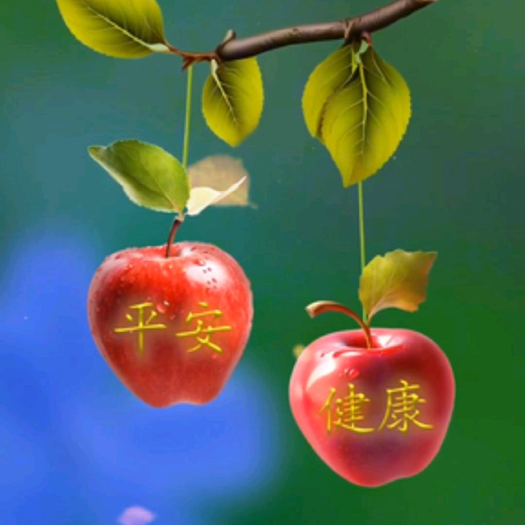 慕菲琪