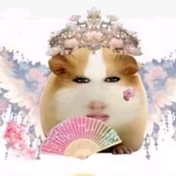 -      云淡风轻   ♥
