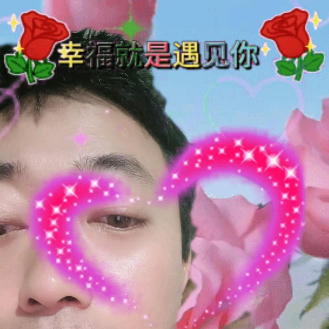 福星高赵