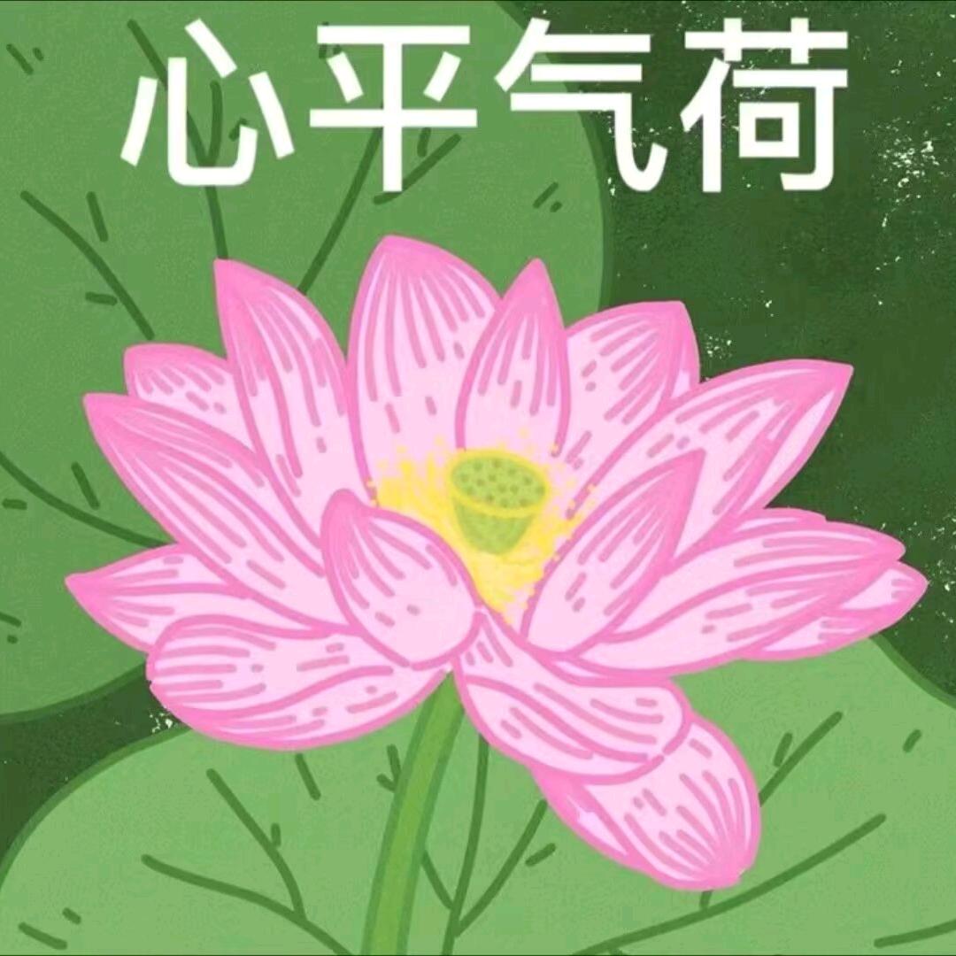 牛的一批