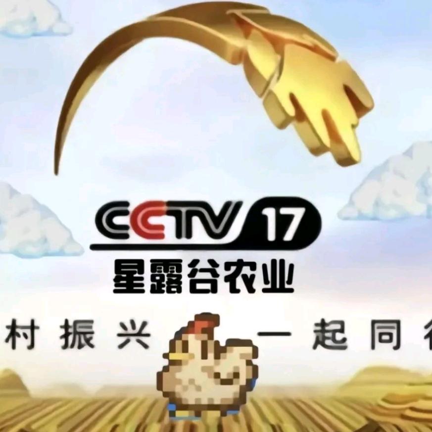 星露谷与你同行