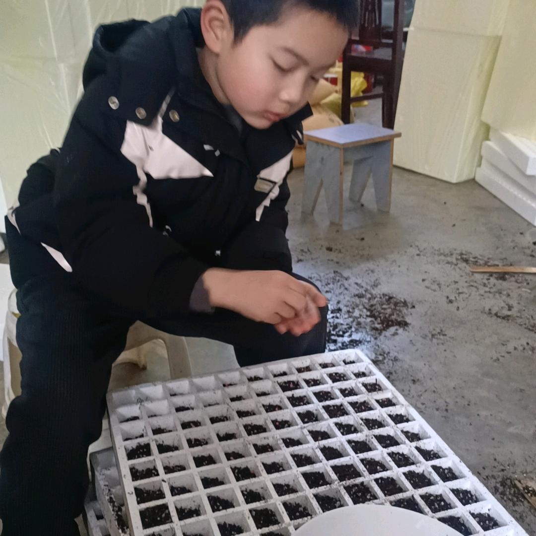 带你游山玩水一一种地去呵呵