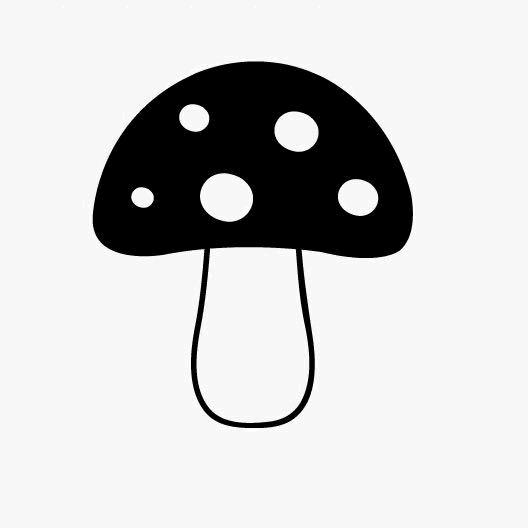 M.G🍄