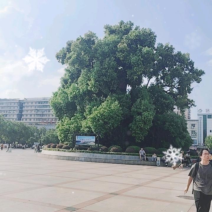 能失去🌾的不叫爱little