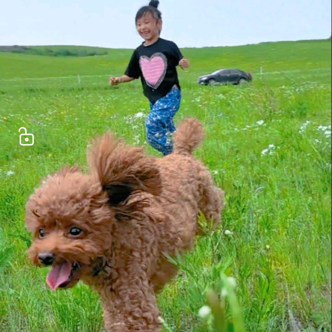 太久没写作业