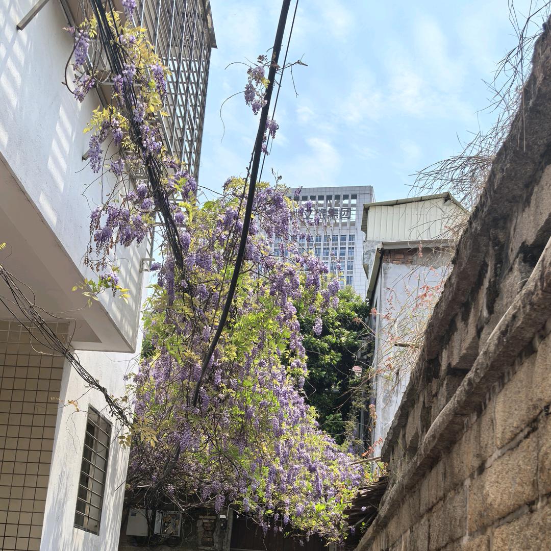 棉花糖