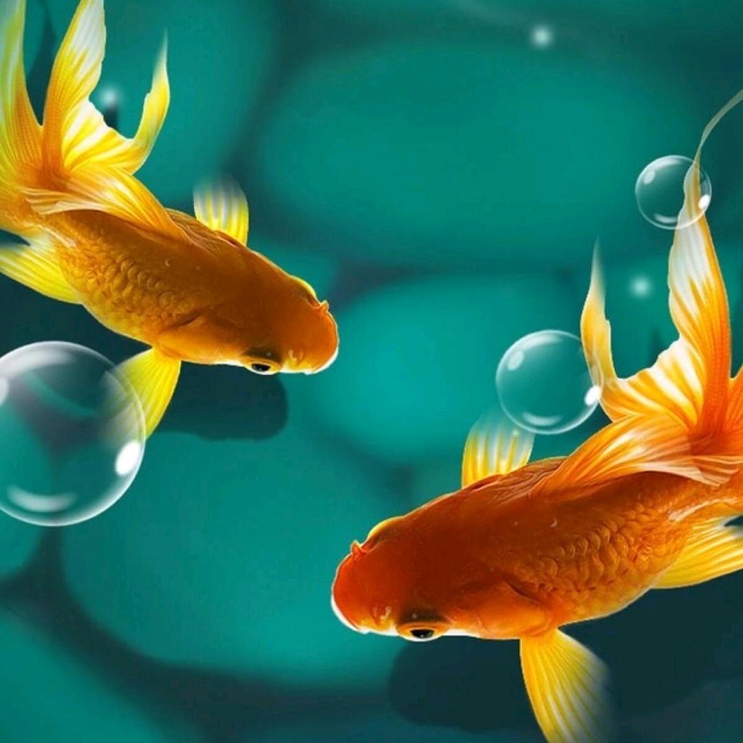 美丽邂逅🌈❤️有证陪练❤️