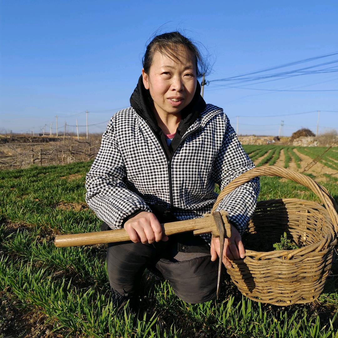 袁家小妹