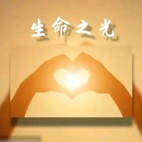 X 鑫哥