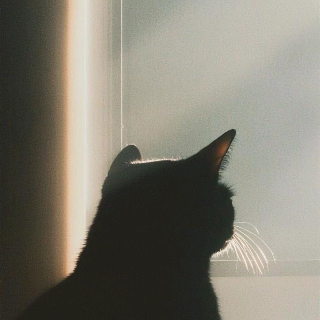 睡个懒觉