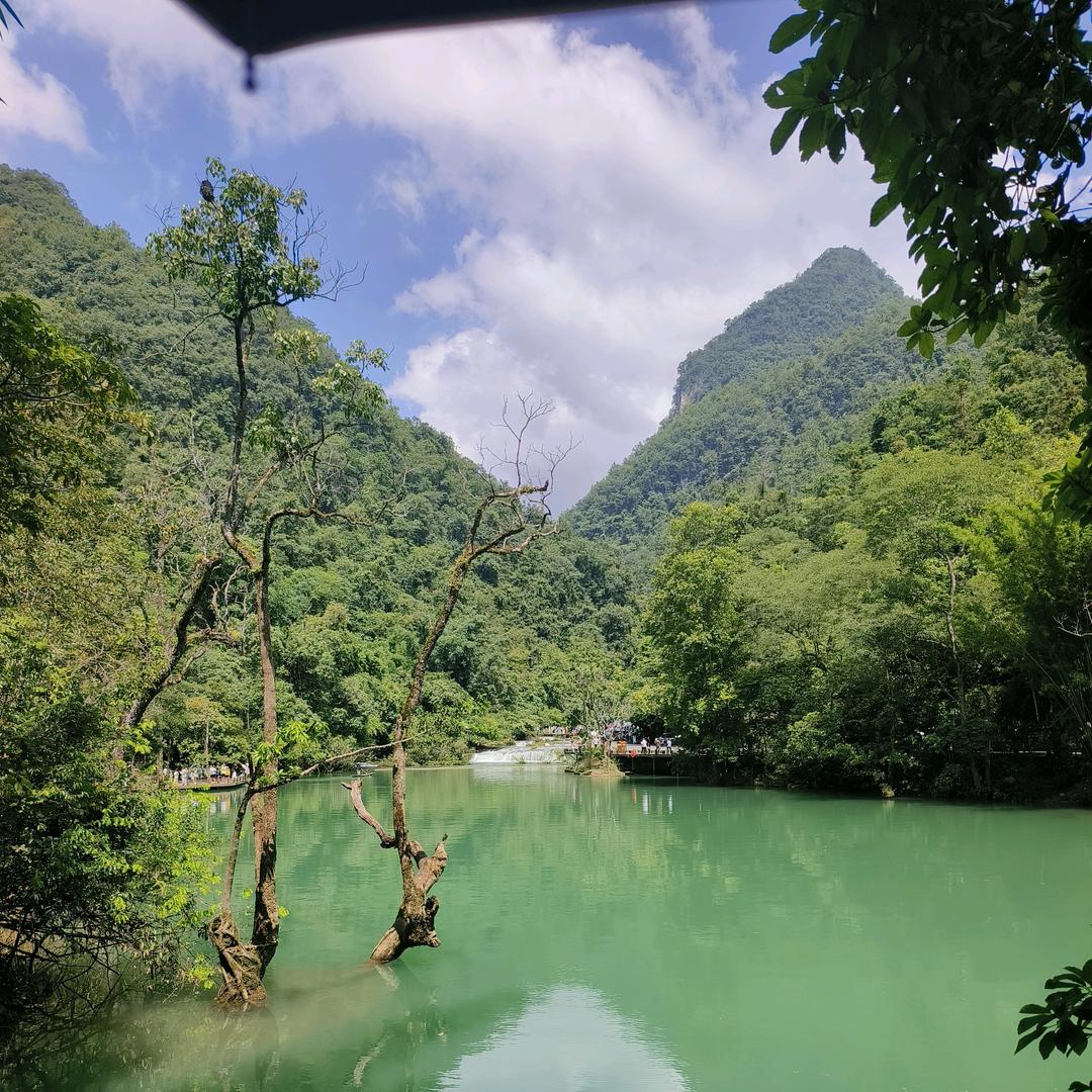 李晓芳