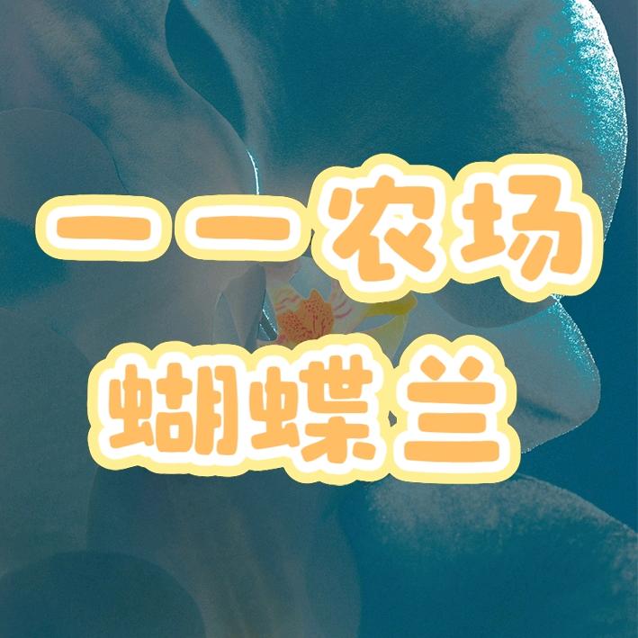 一一农场蝴蝶兰