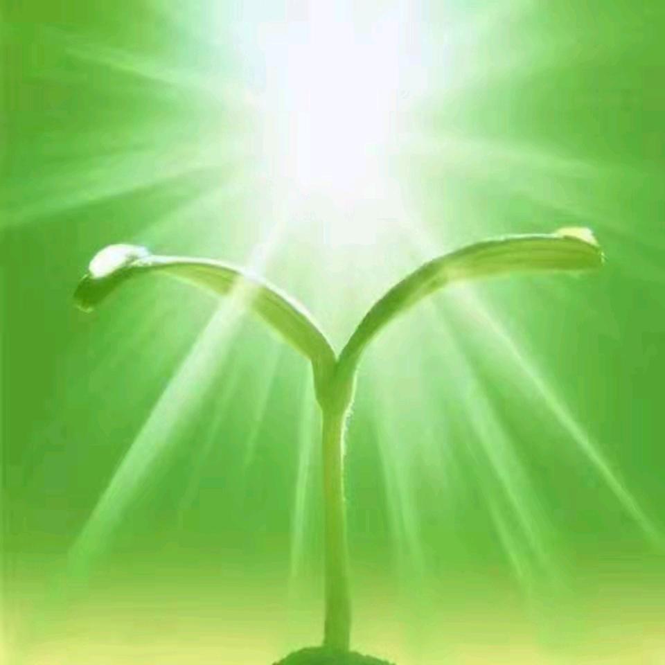 道法自然说期货