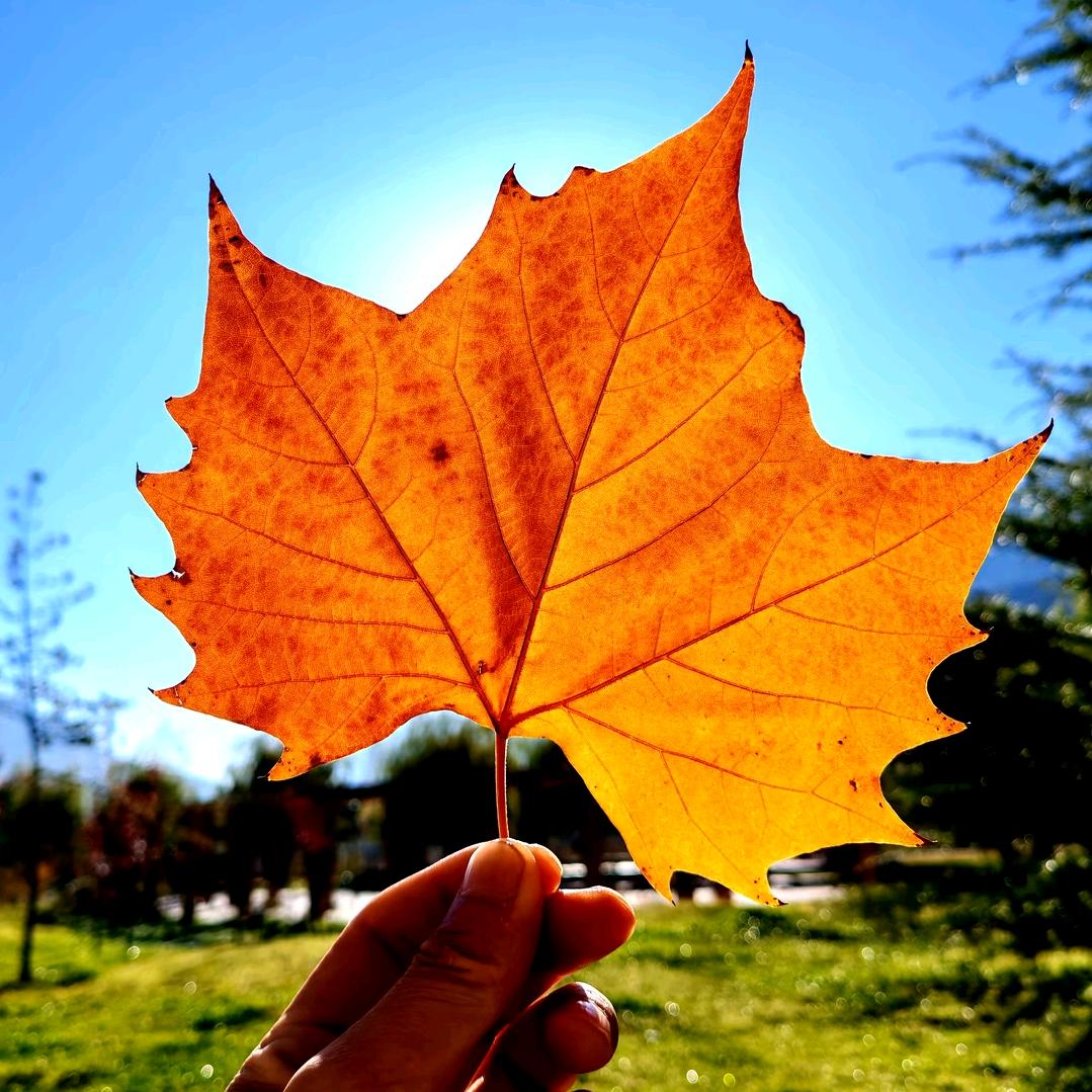 爱一个人，恋一座城