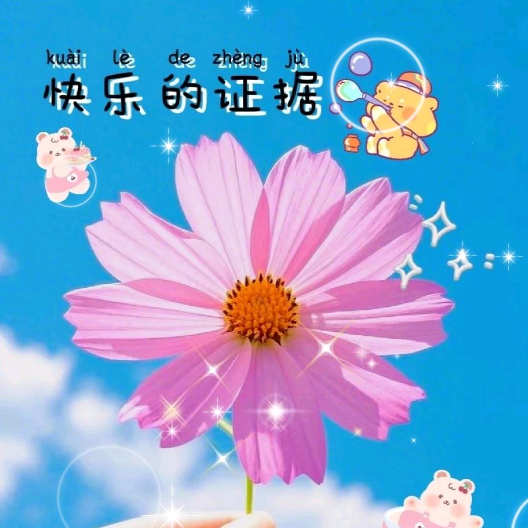 🌻时光静好🌻