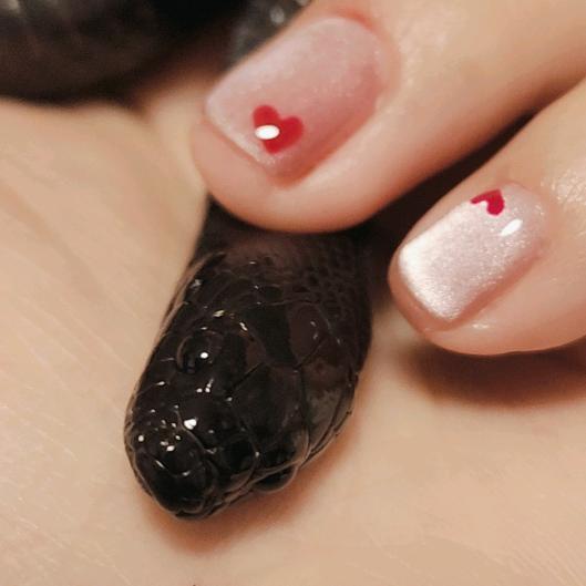 包大人有狗头没有铡