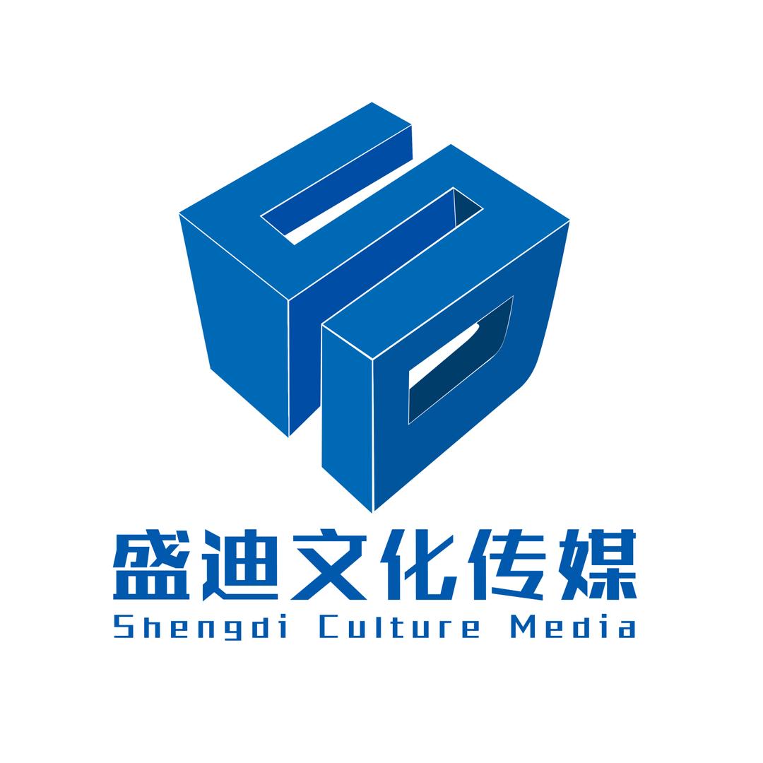盛迪文化传媒