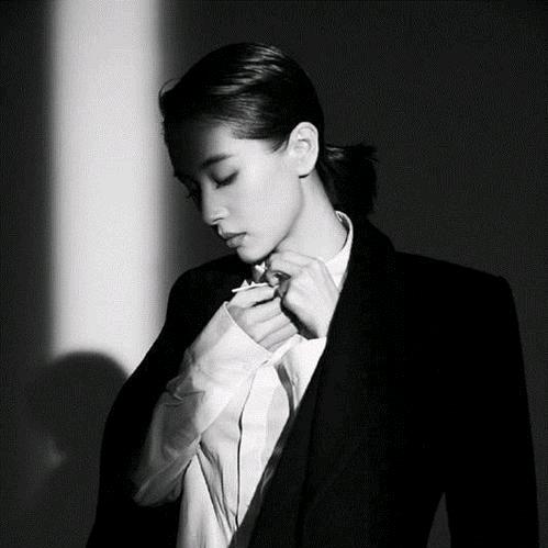 - 雅丽的胡式浪漫