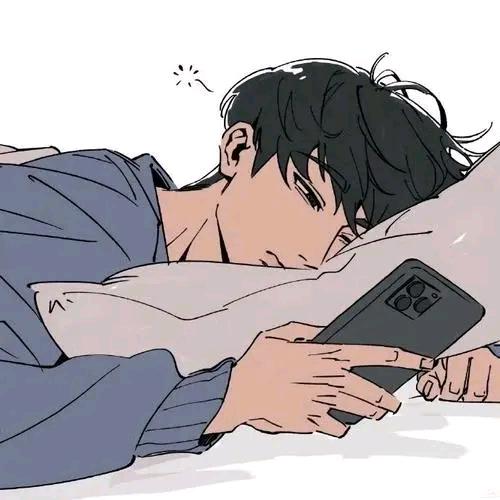 枫