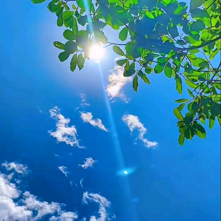 清尘✨头像