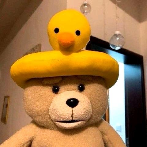 熊大🐻