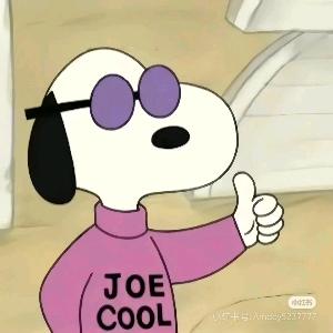 青年大学习科代表