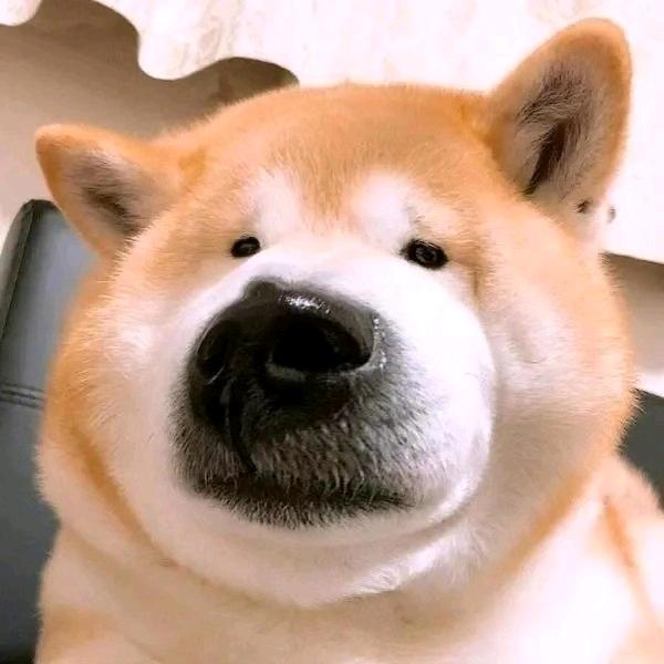 一风