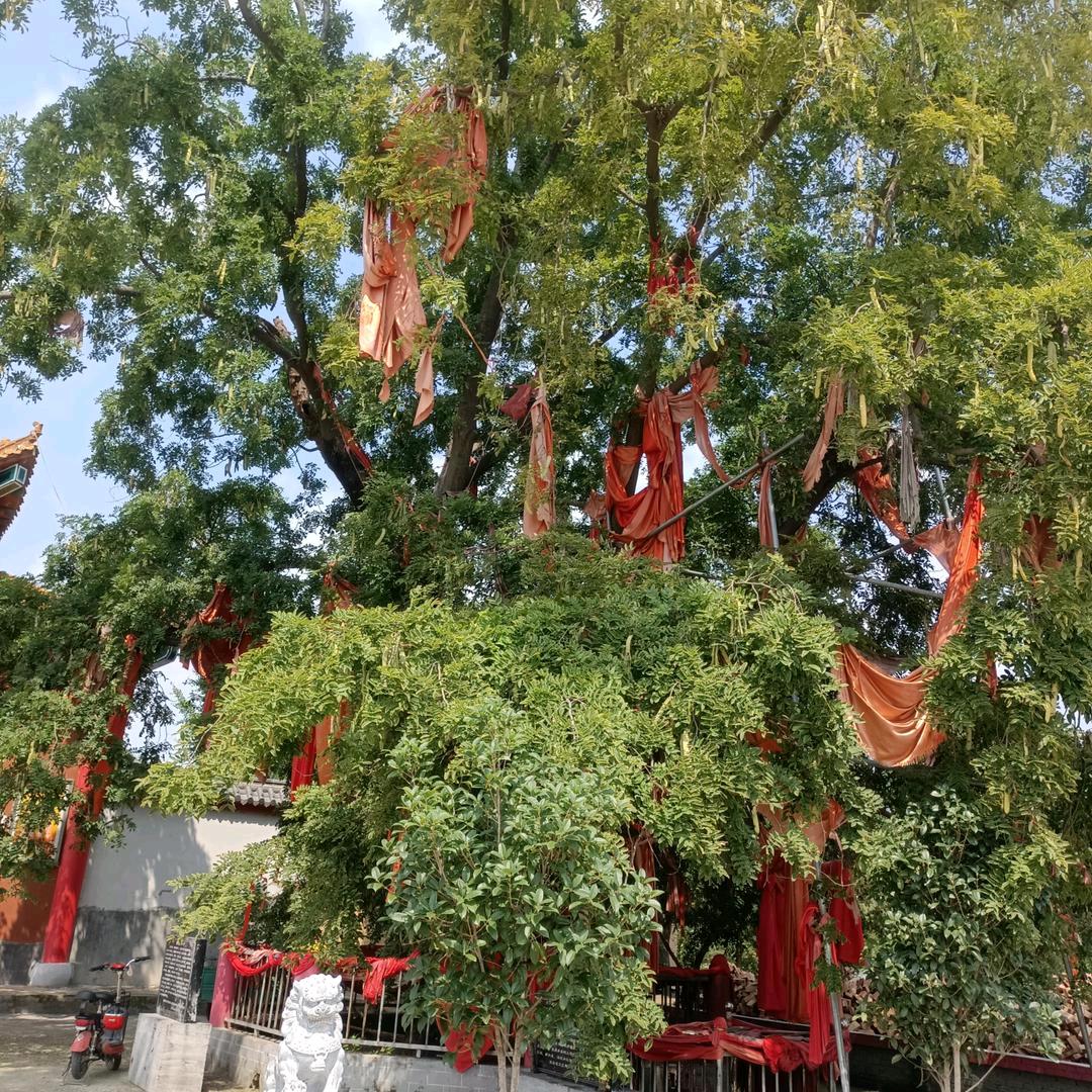 舟游