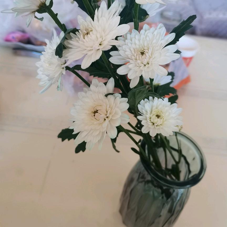 冰点