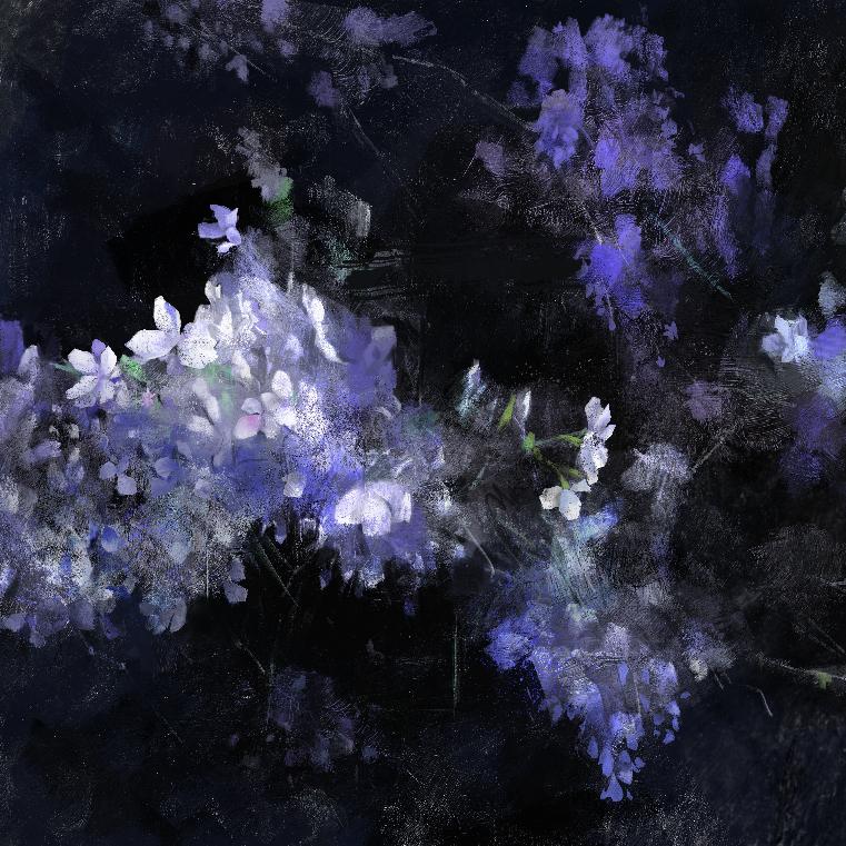 长庚